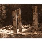 Totem Poles At Ninstints On Anthony Island Provincial Park, GWAII HAANAS, Queen Charlotte Islands BC.