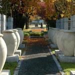 Urns & Autumn Leaves In Cemetery, Vancouver BC.